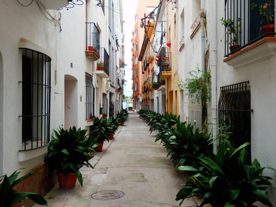 Apartamento Blanes Playa ภายนอก รูปภาพ